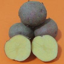 포슬포슬 카스테라 홍감자(찜 혼합 조림), 10kg(혼합중상), 1개