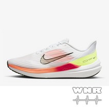 (국내매장용 )나이키 에어 윈플로 9 DD6203-100