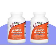 나우 푸드 레시틴 Lecithin 과립 454g(1lb) Non-GMO 1+1