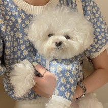 가을/겨울 애완 동물 옷 테디 고양이 Bichon 패션 데이지 꽃 자켓, 05 XXL, 01 파란