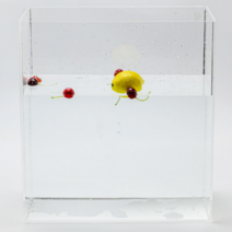 투명 아크릴 물멍 수조 촬영소품 하단섬프 마리모, 40x20x40CM