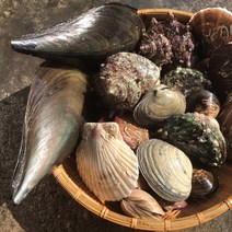 흠스수산 모듬조개탕 1kg 조개구이세트 제철 캠핑 조개구이 모듬 세트 수산물 해산물 조개탕 찜 해물찜 해감완료, 1개, 세트c