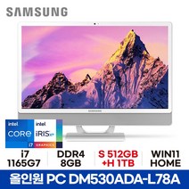 삼성 올인원PC DM530ADA-L78A - 8GB S512GB+H1TB WIN11 HOME 사무용 가정용 공간활용 일체형PC ED
