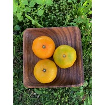 제주귤 하우스감귤 제주감귤 특등급 2.5KG 3KG 5KG 10KG, 5KG(2L)