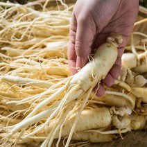 [실속형]금산 인삼 5년근 800g+덤200g 산지직송 막삼 난발삼, 1개, 막삼800g+덤200g(무세척)