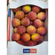 스타영천 스타자두 5kg, 1개