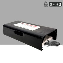 청소대장 전문가용 쥐터널 쥐덫 퇴치 끈끈이 잡는법 트랩 약 끈끈이 잡이 잡기 천장 아파트