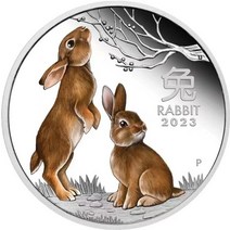 2023 년 토끼 금은 동전 호주 음력 새해 엘리자베스 2 세 은도금 기념, 01 A