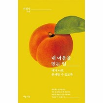 내 마음을 믿는 일:내가 나로 존재할 수 있도록, 마음시선, 최원석