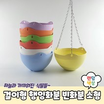 플랜테리어 식물 화초키우기 걸이식 행잉화분 소형
