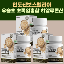 보스웨리아60정X2 우슬추출분말 히알루론산 쇠무릅추출액 엽산 산화아연 푸마르산제일철 버드나무가지껍질, 60정, 2개