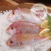기타 제주 자연산 황돔 300g*13팩(팩당 3마리 포장) / 총 39마리, 4세트