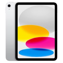 애플 아이패드 10세대 27.5cm WiFi 64GB / 256GB (관부가세포함_미국정품), 10세대 256GB-실버