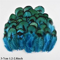 도매 천연 공작 꿩 깃털 작은 닭 거위 플라이 묶는 재료 수공예 액세서리 장식, 20 Piece, Size 3-7CM_5