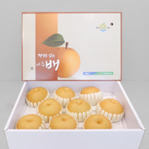 23년 프리미엄 햇배 신고배 명절 과일 선물세트 고당도 나주 배, (특품) 7.5kg / 7-10과