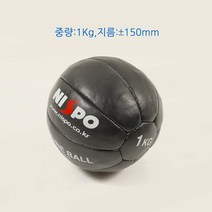 니스포 메디신볼 천연가죽, 1kg
