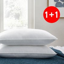 1+1 통세탁 항균베개솜 마이크로화이바 다운필 기능성베개솜(40X60/50X70) 8종, 1+1 데일리 항균베개솜(40X60)