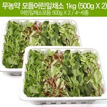 무농약 모듬어린잎채소 1kg (어린잎채소모듬 500g X 2 / 4~6종) / 파릇파릇 싱그러움이 가득한 영양만점 새싹 어린잎, 상세페이지 참조