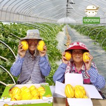 성주직송 제철과일 성주 참외 2kg, 2kg(10과내)