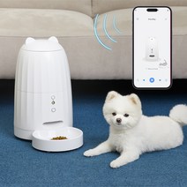 페키움 강아지 고양이 자동 자율 급식 배식 분리불안해소 급식기, 자동급식기(단품)+아뎁터