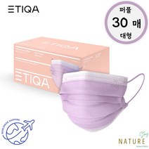 에티카 브리즈 퍼플 30매 덴탈마스크 대형 ETIQA, 단품, 단품