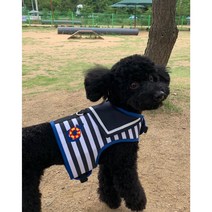 [무료배송 할인제품] 강아지 마린룩 하네스 옷 목줄 리드줄포함 가슴줄 하네스옷 강아지티셔츠 크롭티, 레드, S