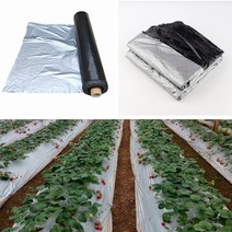 농사용하우스비닐 텃밭비닐 농업용롤비닐 10m 0.012mm 멀칭 필름 실버 블랙 플라스틱 멀칭 정원 그라운드 커버 필름 서리 방지 따뜻한 잡초 방제 유지, 10미터, 폭 1.2m