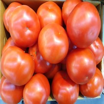 가락시장 토박이유통 완숙 토마토 5kg 특1번/ 특2번, 특1번 5kg