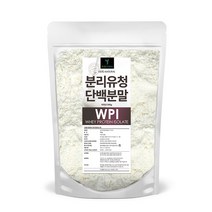 퓨어영 단백질보충제 WPI 분리유청단백질 500g, 1봉