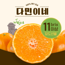 [다민이네]제주 서귀포 노지 조생 감귤 3kg 5kg (실중량 2.5kg 4.5kg), 1개, 5kg(프리미엄과S)