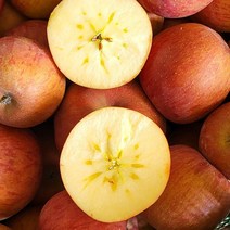 우주최강리테일 청송 사과 당도보장 꿀사과 프리미엄 선물세트 부사 정품 가정용 못난이 흠과 2kg 3kg 5kg 10kg, 청송부사 소과 5kg