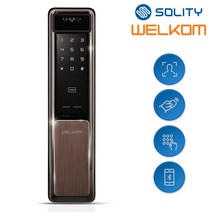 [전국설치] 솔리티 웰콤 신제품 얼굴안면인식 푸시풀 WSP-2900A 카드키2개+번호키 블루투스(옵션) AI딥러닝기술 신속 정확한 얼굴인증 얼굴인식100개 현관문 디지털도어락, -웰콤 WSP-2900A 전국설치(A지역), 월요일