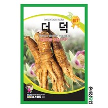 더덕 100g / 더덕씨앗 더덕씨 종자 토속나물 뿌리채소씨앗