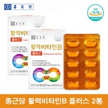 비타민B군 영양제 비타민B100 비타민비군 종근당 활력 비타민B 콤플렉스 복합제 수용성비타민 비오틴 - 왱이몰, 60정 2통