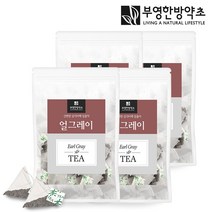부영한방약초 허브차 홍차 얼그레이 50 티백 허브티 차, 100개입