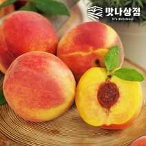 [9/14 순차출고]경북 황도복숭아 선물세트 3kg 특대사이즈 7-10과(개당 300g430g)