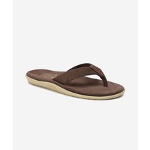 ISLANDSLIPPER PT203 초코