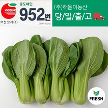 <해돋이농산> 국내산 청경채 특품 2kg 4kg 1박스