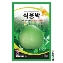 식용박 10립 / 나물박 박씨 박씨앗 채소씨앗