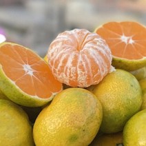 (파인밀) 산지직송 제주 타이벡감귤 5kg 로얄과(S-M) 실중량