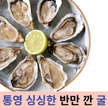최고급 통영 산지직송 싱싱한 하프쉘 반만깐 굴 반탈각 굴 생굴 각굴 반각굴 깐굴, 하프쉘 1단 30미