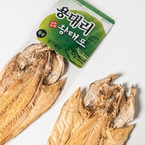 껍질벗긴 용대리 황태포 (특대 45cm) 제사포 제수용 북어포, 10미(개별포장)