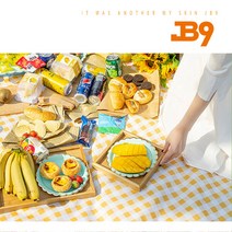 JB9 2컬러 피크닉 감성캠핑 방수 매트 접이식 손잡이일체형 돗자리 나들이 야외매트, JB9 피크닉 방수 매트_레드