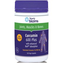 블룸스 커큐민 600 플러스 120정 Henry Blooms Curcumin 600 Plus 120 Capsules 강황 울금
