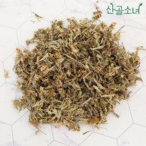 산골소녀 국내산 약쑥 건조 애엽 사자발쑥, 100g, 1개