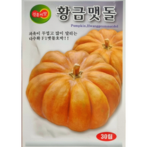황금맷돌호박씨앗30립 호박씨앗 과육이 두껍고 많이 달리는 다수확 품종 진흥종묘