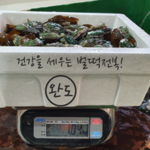 완도 꼬마 전복 1kg 40미-50미