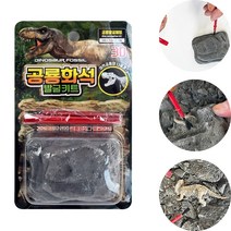 체험 학습 공룡 화석 발굴 키트 1P 랜덤