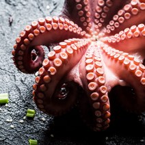 산지청정 자연산 자숙 돌문어 제수용 문어, 모리타니아산 제수용1kg(1마리)