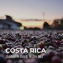 [생두] 코스타리카 따라주 재규어 허니 1kg
